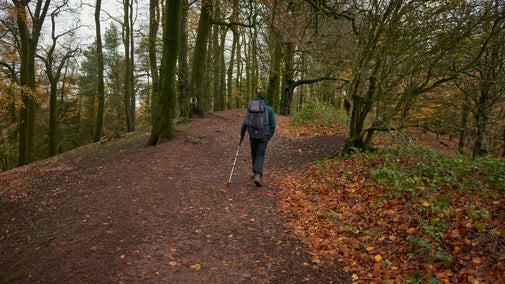 Man taking autumn walk at Clent Hills